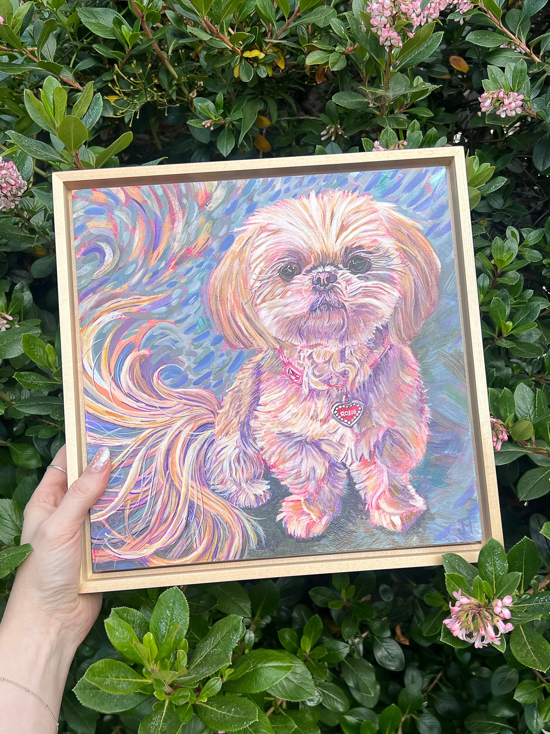 Shih Tzu pet portrait painting by Jen Montgomery.